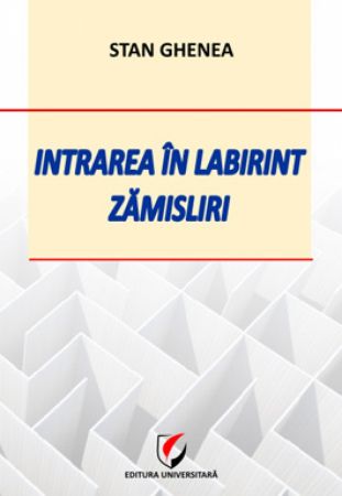 Preuniversitaria - Entering the maze. Conception - Stan Ghenea