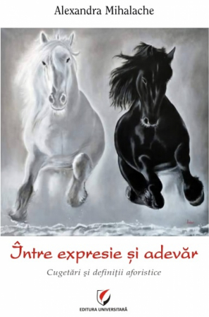 Leisure - Of expression and truth. Aphoristic reflections and definitions - Alexandra Mihalache