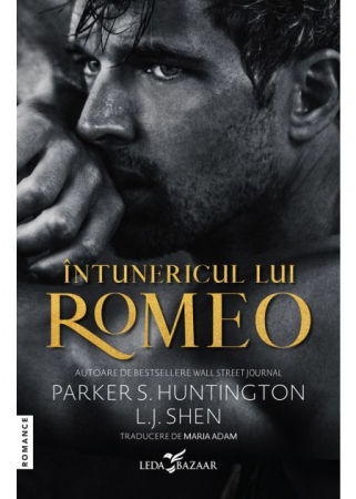 Literatură pentru adolescenți - Intunericul lui Romeo - Parker S. Huntington, L.J. Shen