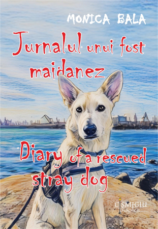Leisure - Diary of a rescued stray dog