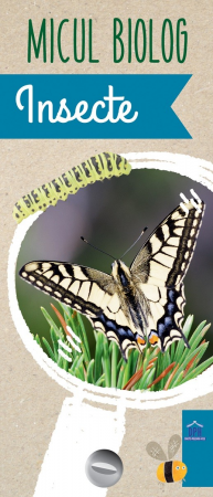 Științe exacte - Micul biolog. Insecte. Jetoane - Anita van Saan