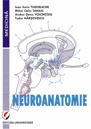 Medicină - Neuroanatomie