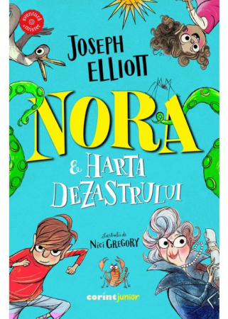 Children's literature - The daughter-in-law and the map of disaster - Joseph Elliott