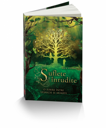 Literatură pentru copii - O iubire intre vesnicie si moarte. Suflete inrudite - Nica Stevens