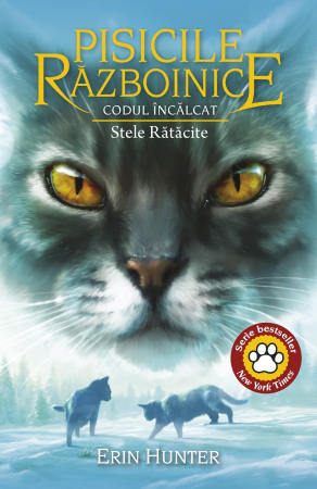 Literature for teenagers - The Warrior Cats. Book XXXVII. The Broken Code. Stray Stars - Erin Hunter