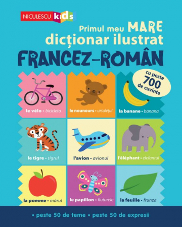 Cărți pentru copii - Primul meu MARE dictionar ilustrat FRANCEZ-ROMAN. Cu peste 700 de cuvinte, peste 50 de teme, peste 50 de expresii - Catherine Bruzzone, Vicky Barker