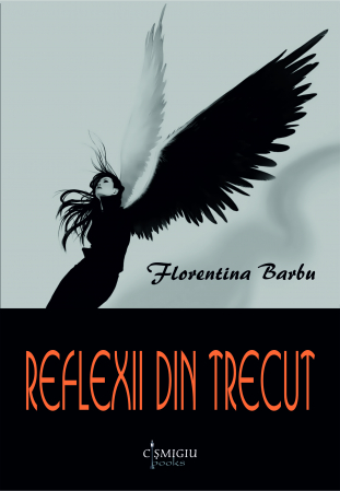 Roman - Reflexii din trecut - Florentina Barbu
