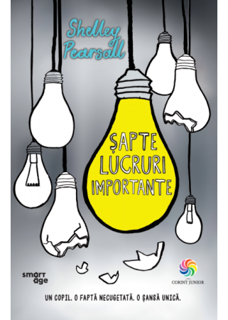 Literatură pentru copii - Sapte lucruri importante - Shelley Pearsall