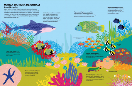 Sari si scufunda-te prin recif - Vassiliki Tzomaka [1]