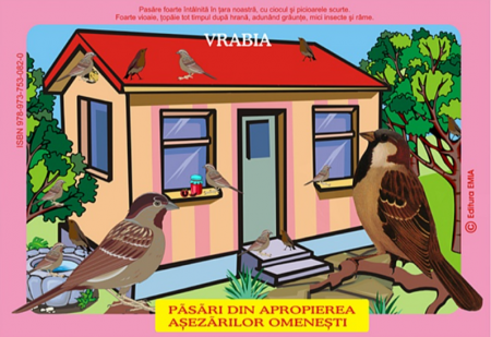 Auxiliare didactice - Pasari din fauna Romaniei care traiesc in apropierea asezarilor omenesti. Vrabia, randunica, cotofana, privighetoarea, cioara, uliul, gaita, bufnita - Olivia Campean, Istina Mirescu