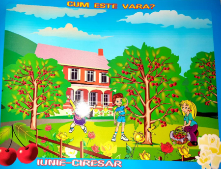 Auxiliare didactice - Cum este vara? Peisaje - Elena Vinulescu, Cezar Vinulescu, Hermina Furca