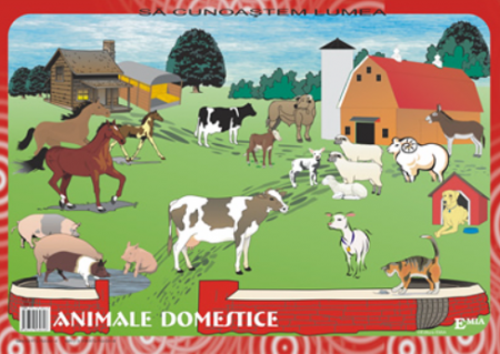 Preuniversitaria - Let's get to know the world around us. Poultry, domestic animals, forest animals, jungle animals, at the market, means of locomotion and chips for educational games -Claudia Julea
