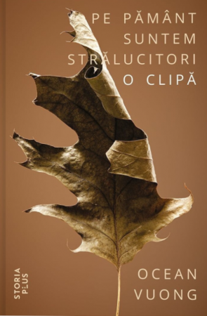 Leisure - On earth we are shining for a moment - Ocean Vuong