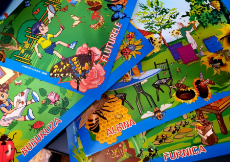 Cartea pentru școală - In lumea insectelor. Fluturele, buburuza, albina, furnica, carabusul, radasca - Gheorghina Micula, Ana Dobroica