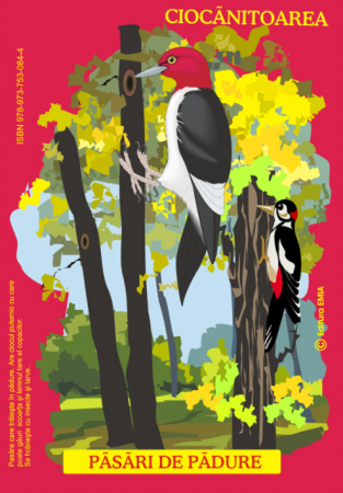 Auxiliare didactice - Pasari din fauna Romaniei care traiesc in padure. Ciocanitoarea, codobatura, pupaza, mierla, cucul si vulturul - Olivia Campean, Istina Mirescu