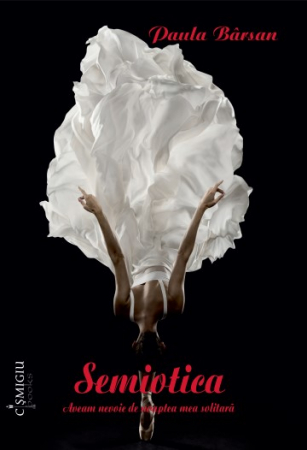 Poezie - Semiotica. Aveam nevoie de noaptea mea solitara -  Paula Barsan