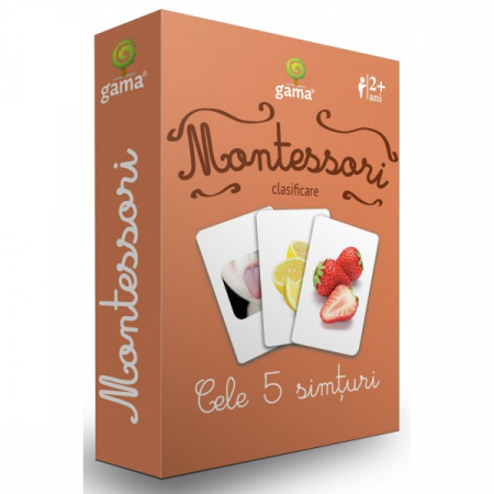 Books for children - The 5 senses. Classification. Montessori playing cards 2 years +