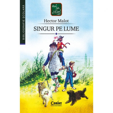 Tezaur bibliografic școlar - Singur pe lume - Hector Malot