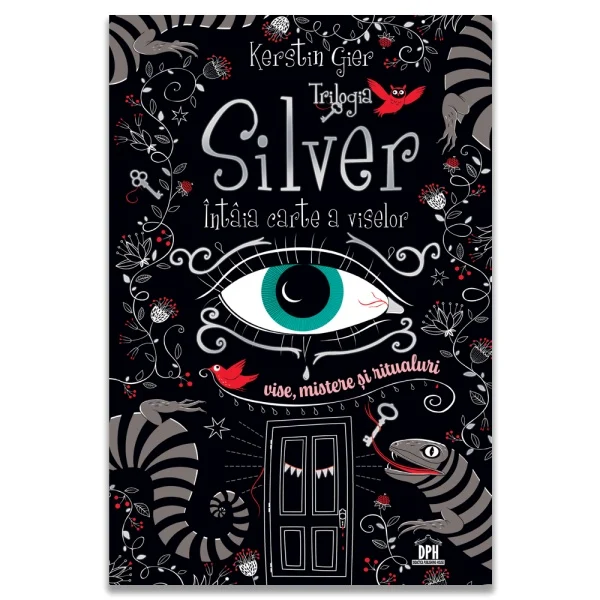 Leisure - The Silver Trilogy. The First Book of Dreams - Kerstin Gier