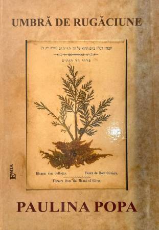 Leisure - The shadow of prayer - Paulina Popa