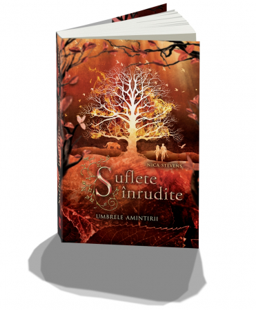 Literatură pentru copii - Umbrele amintirii. Suflete inrudite - Nica Stevens