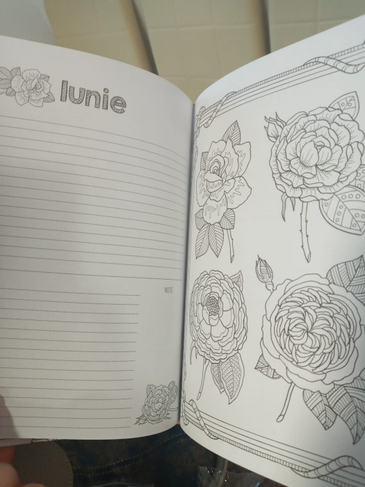 Agenda mea de colorat - 52 de saptamani ca sa vezi viata in roz [2]