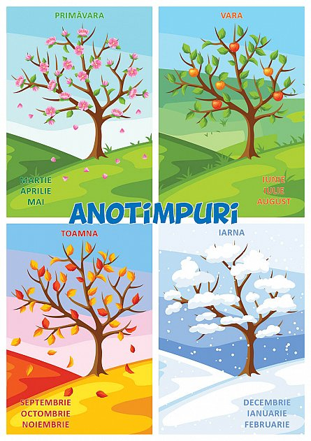 ANOTIMPURI - puzzle podea 50/70 + afis 50/70 [2]