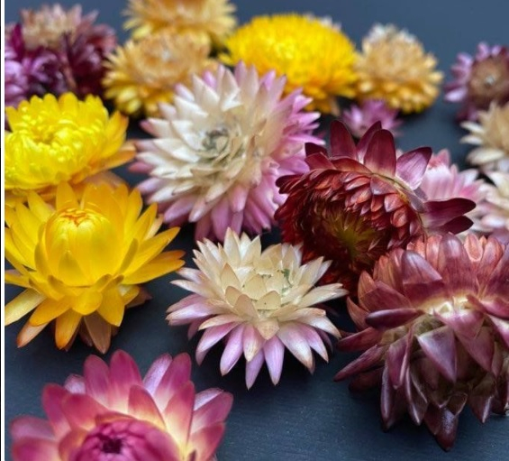 Capete flori de paie [2]