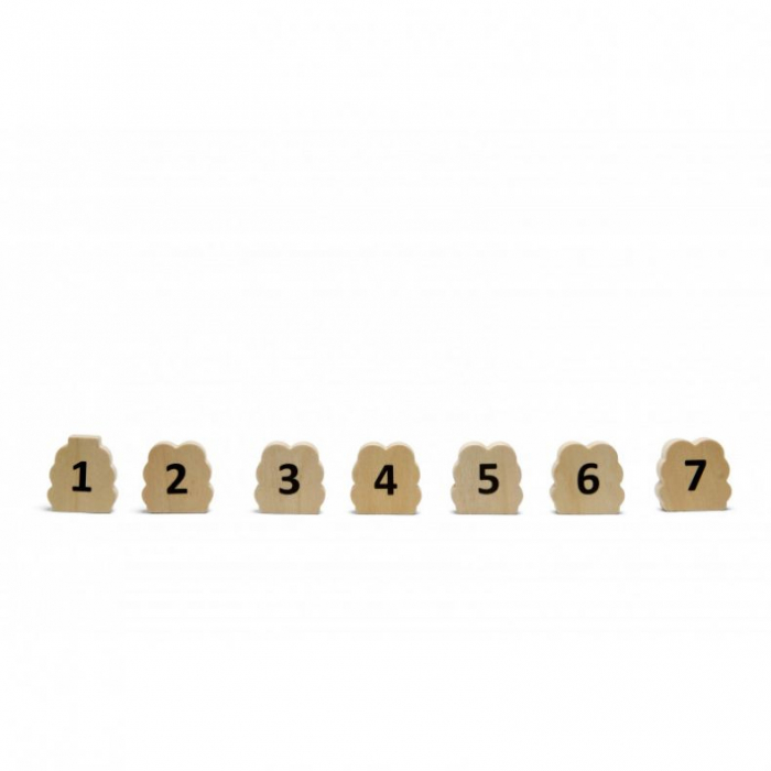 Cararea instabila - joc de echilibru din lemn BS Toys [4]