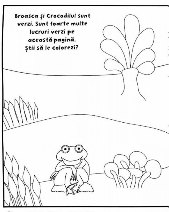 Elmer şi prietenii lui Prima mea carte de activitati si colorat [2]