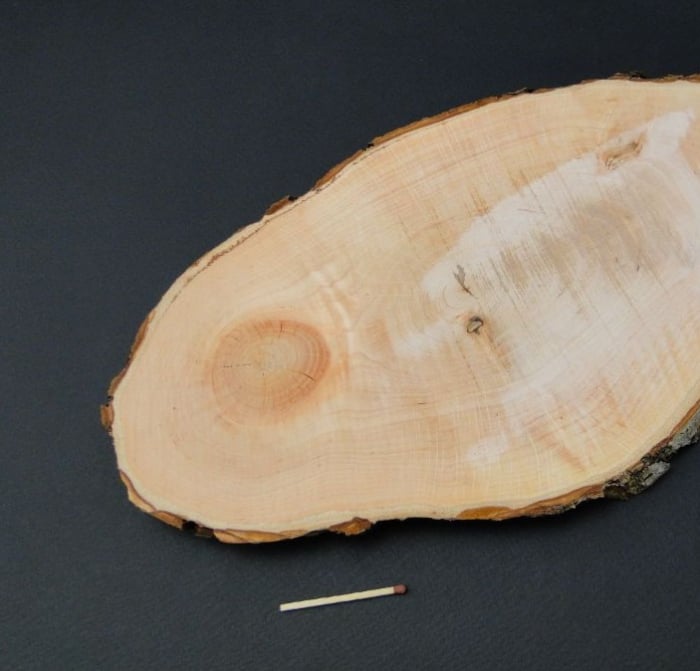 Felie lemn mare [1]