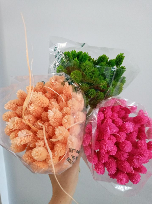 Flori uscate - Tallaris diferite nuante [2]