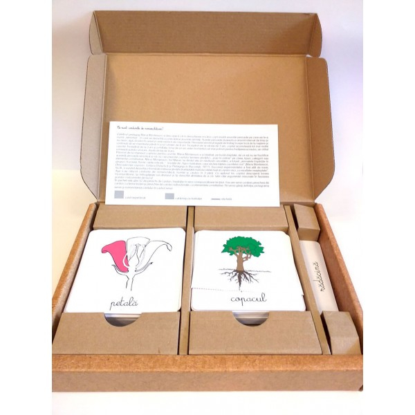 Lecții Montessori - Botanica [2]