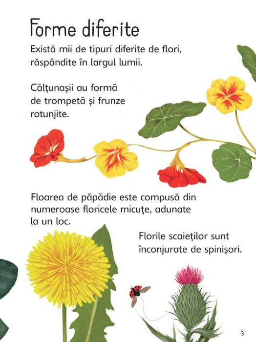 Florile (Usborne) [3]