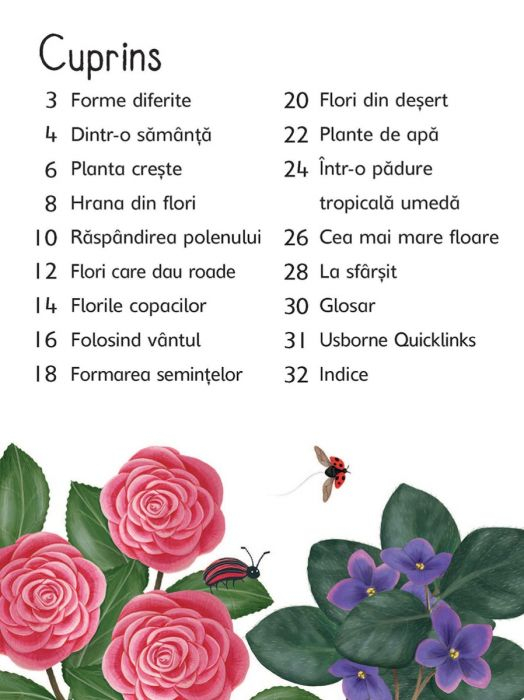 Florile (Usborne) [2]
