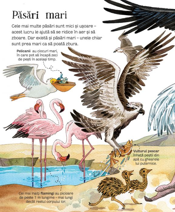 Marea carte a animalelor (Usborne) [5]