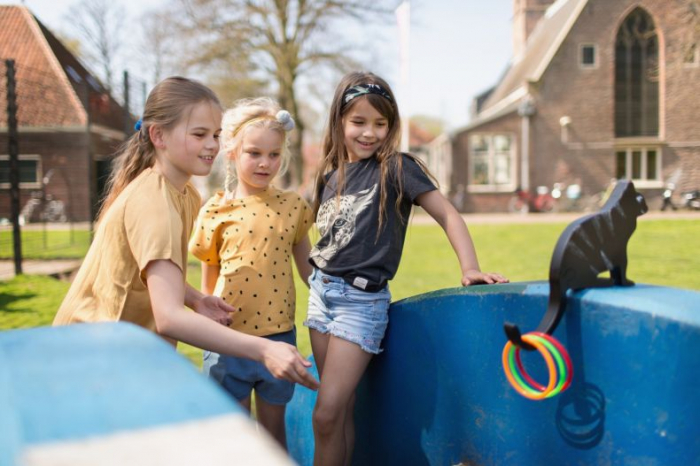 Joc de precizie Prinde pisica BS Toys [5]