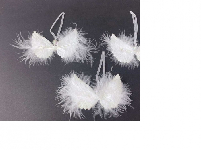 Set aripi de inger [2]