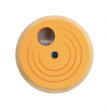 Calendar cu ceas PolarB - Viga [1]