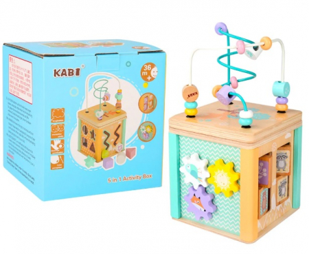 Cub activitati din lemn 5 in 1 [0]