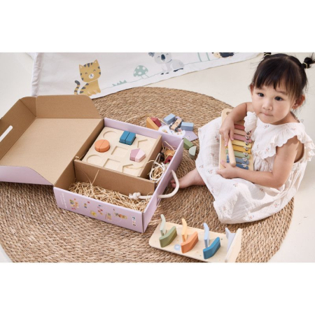 Cutie cu jucarii evolutive Maestrii Culorilor (18-24 luni) [1]