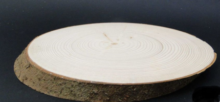 Felie lemn brad oval - 18 cm. [0]