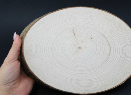 Felie lemn brad oval - 18 cm. [1]