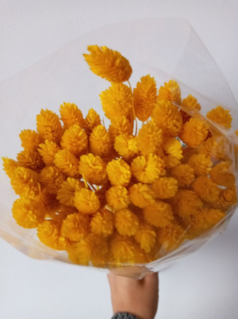 Flori uscate - Tallaris diferite nuante [2]