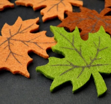 FRUNZE DIN PASLA - set [1]