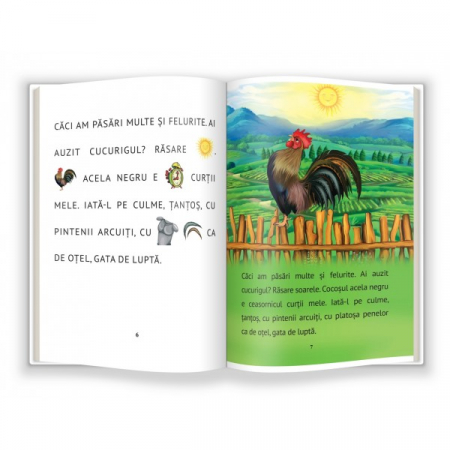 ÎNVĂȚ SĂ CITESC! NIVELUL 0 În curtea mea - cu abtibild [1]