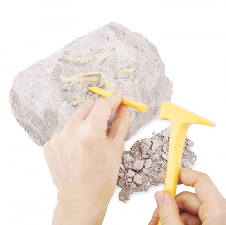 Joc de explorat - kit excavare dinozauri [2]
