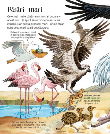 Marea carte a animalelor (Usborne) [4]