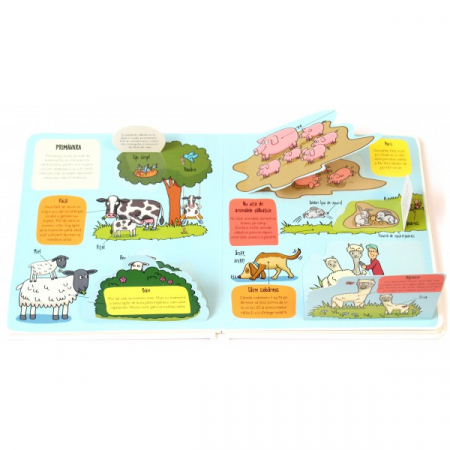 Micii exploratori Ferma - cu clapete [2]