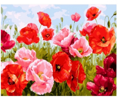 Pictură pe numere camp de maci [0]